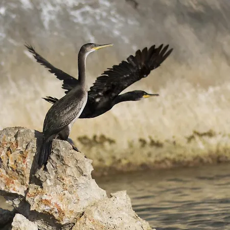 Hotel Monte Longu 3br2ba With Garden