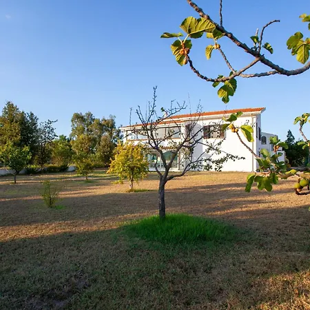 酒店 Monte Longu 3br2ba With Garden
